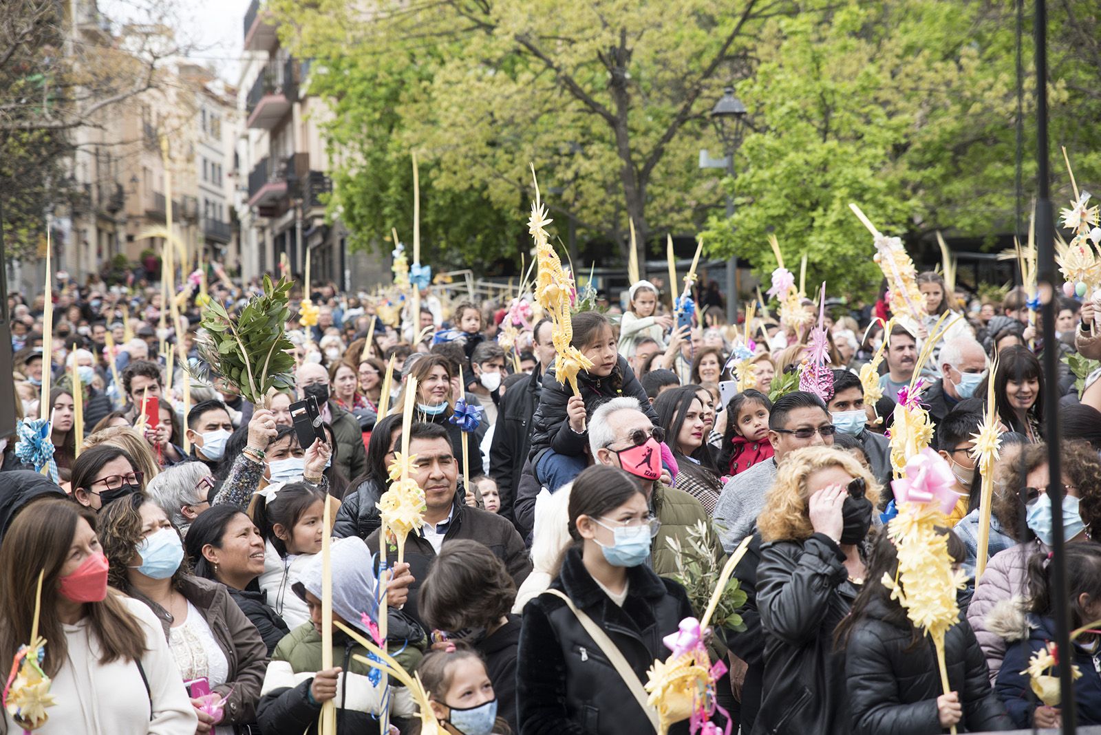 Benedicció de Rams. FOTO: Bernat Millet.