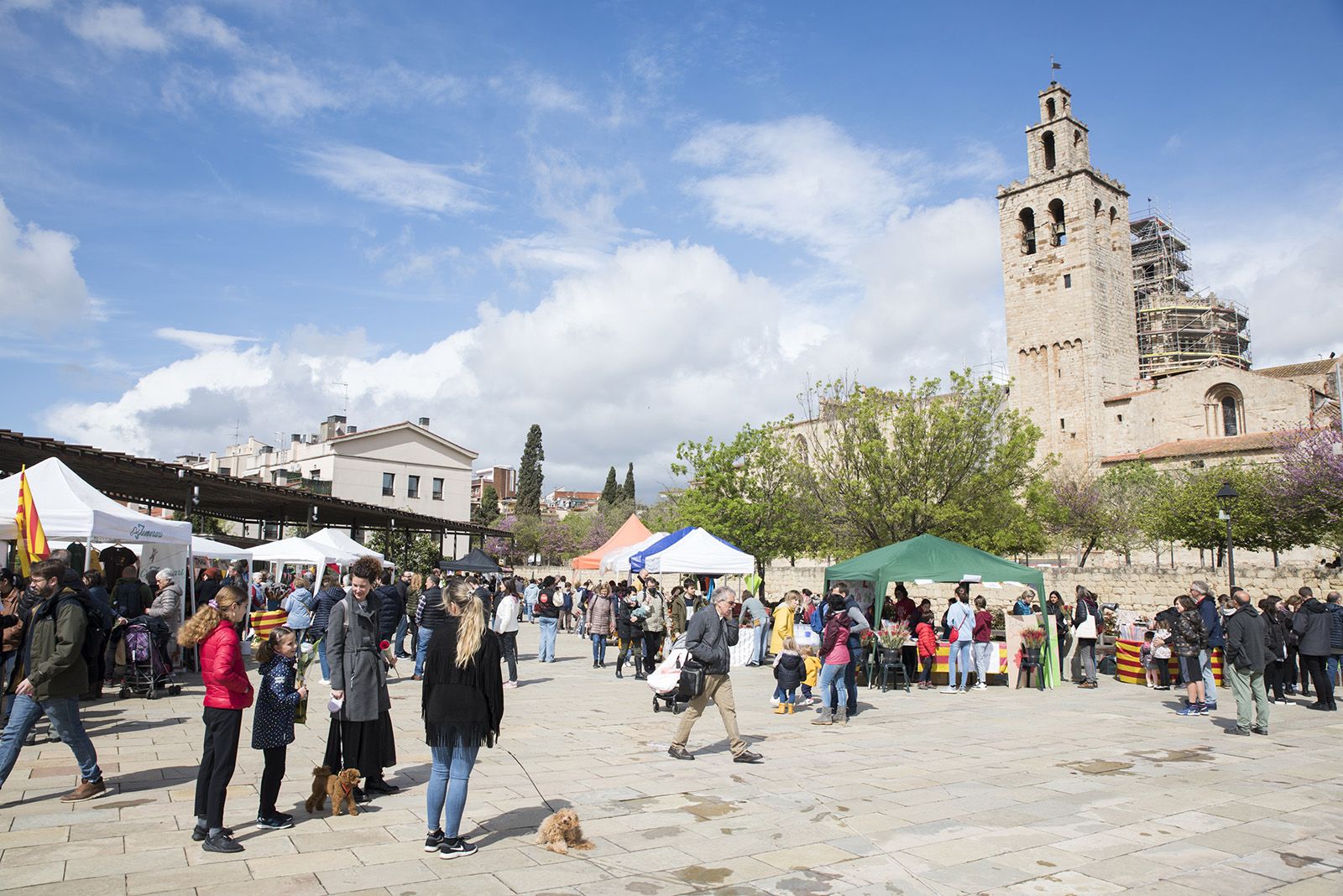 Sant Jordi a Sant Cugat. FOTO: Bernat Millet.