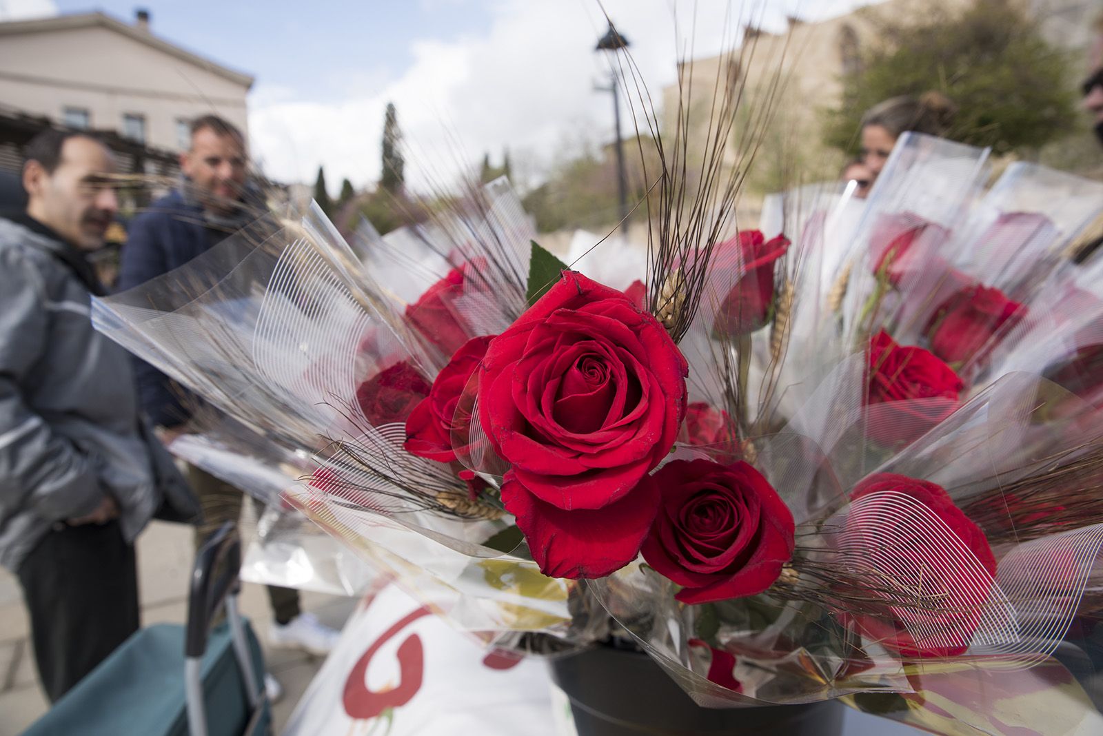 Sant Jordi a Sant Cugat. FOTO: Bernat Millet.