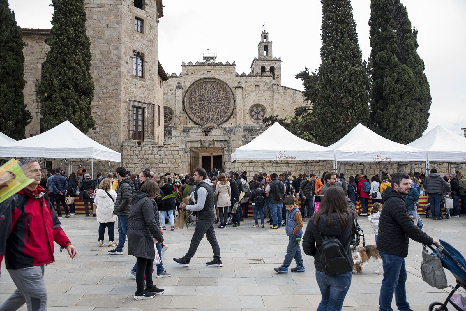 Sant Jordi a Sant Cugat. FOTO: Bernat Millet.