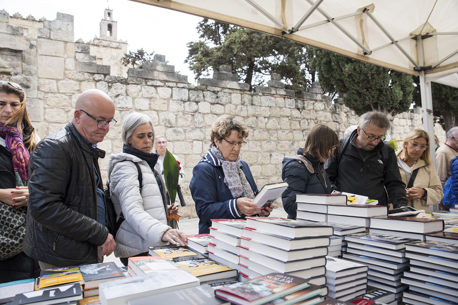 Sant Jordi a Sant Cugat. FOTO: Bernat Millet.
