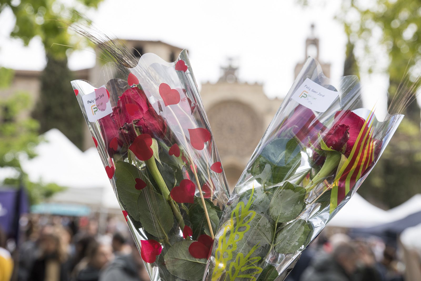 Sant Jordi a Sant Cugat. FOTO: Bernat Millet.