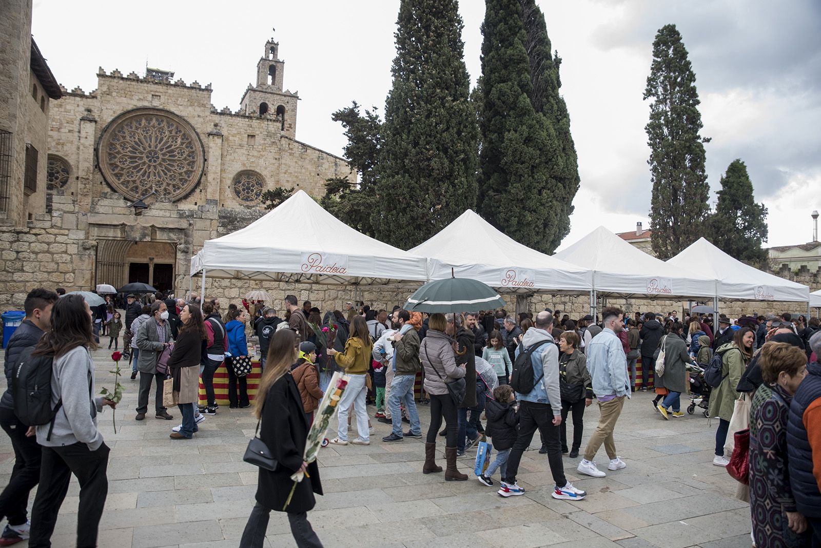 Sant Jordi a Sant Cugat. FOTO: Bernat Millet.
