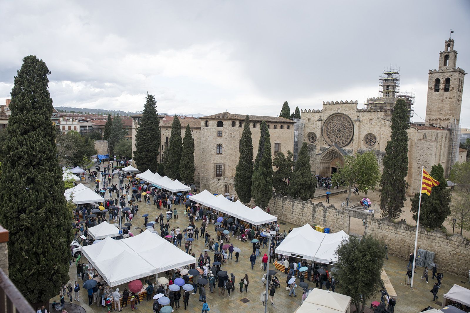 Sant Jordi a Sant Cugat. FOTO: Bernat Millet.