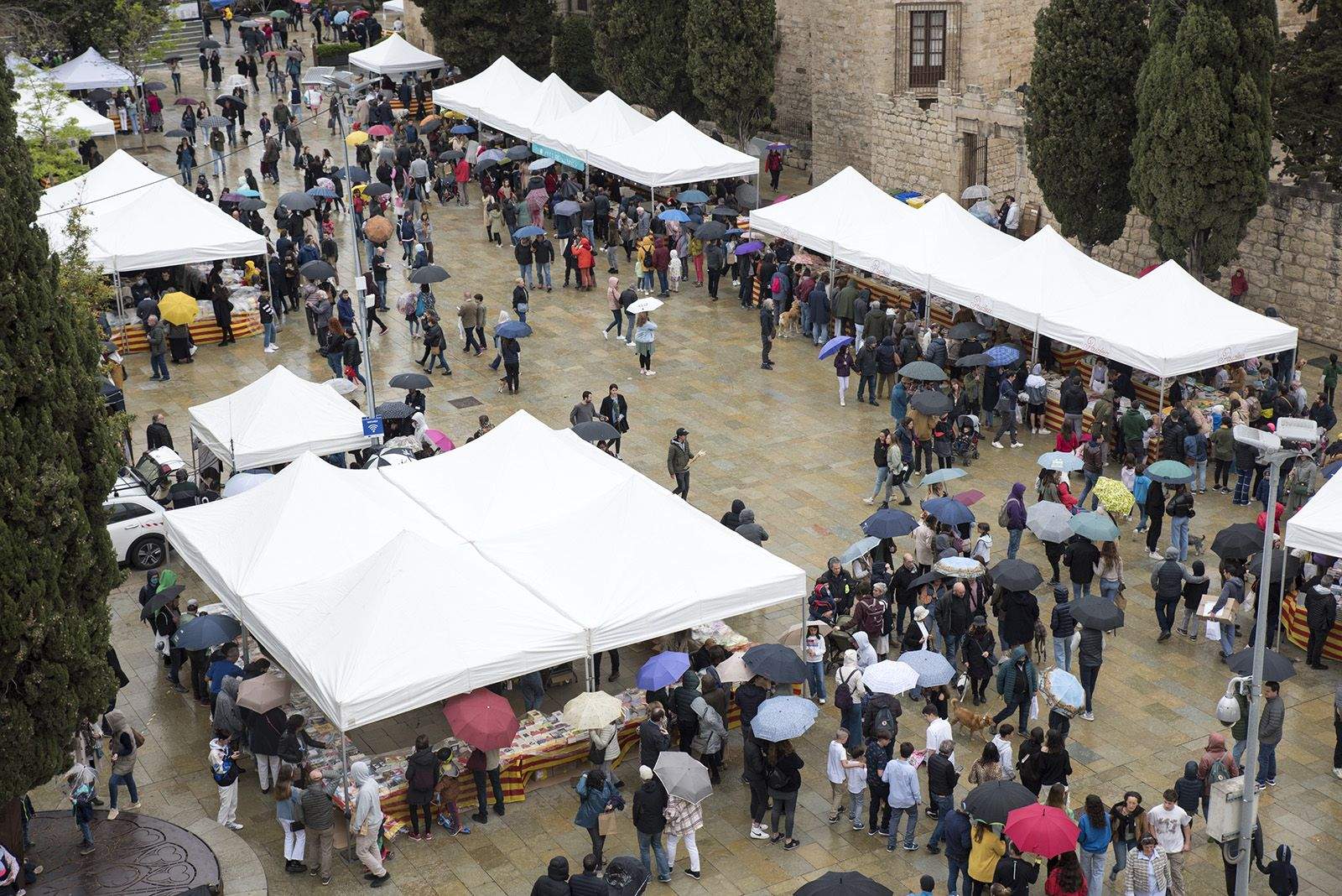 Sant Jordi a Sant Cugat. FOTO: Bernat Millet.