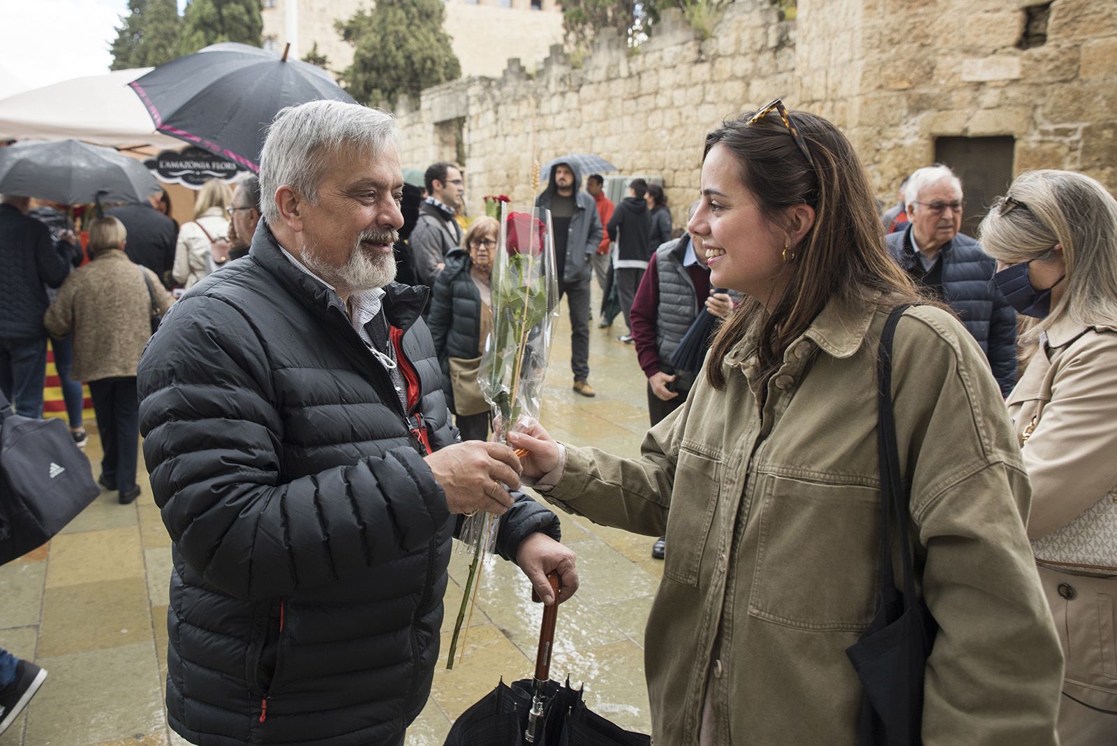 Sant Jordi a Sant Cugat. FOTO: Bernat Millet.