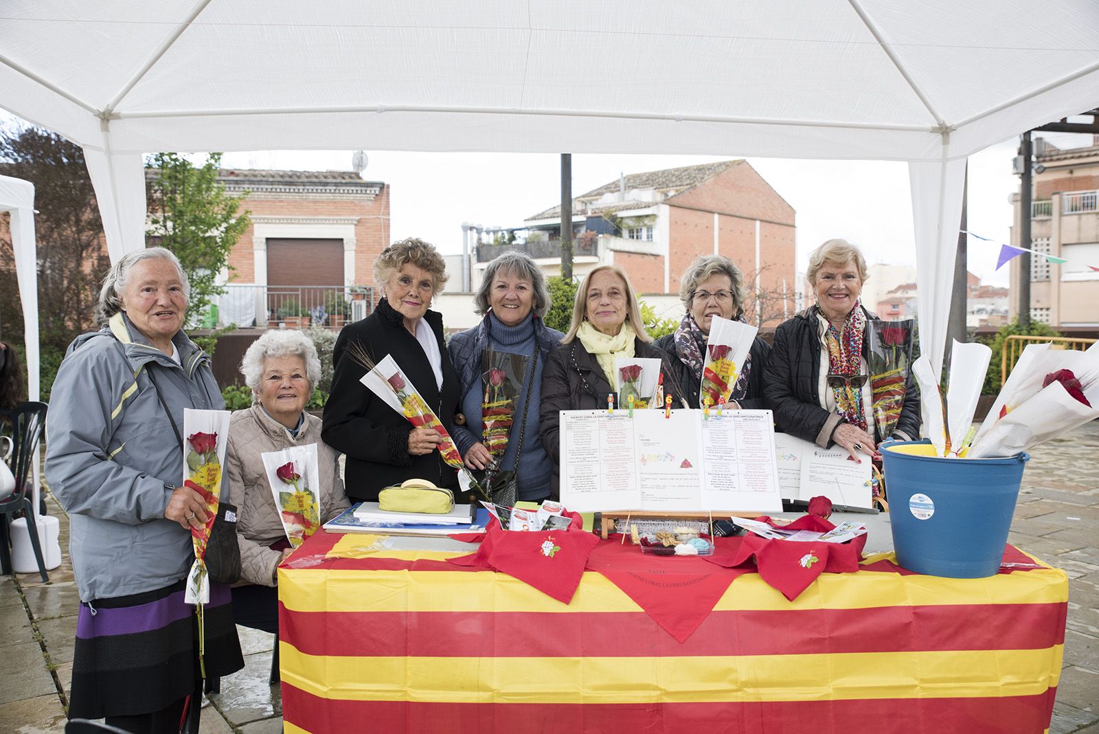 Sant Jordi a Sant Cugat. FOTO: Bernat Millet.