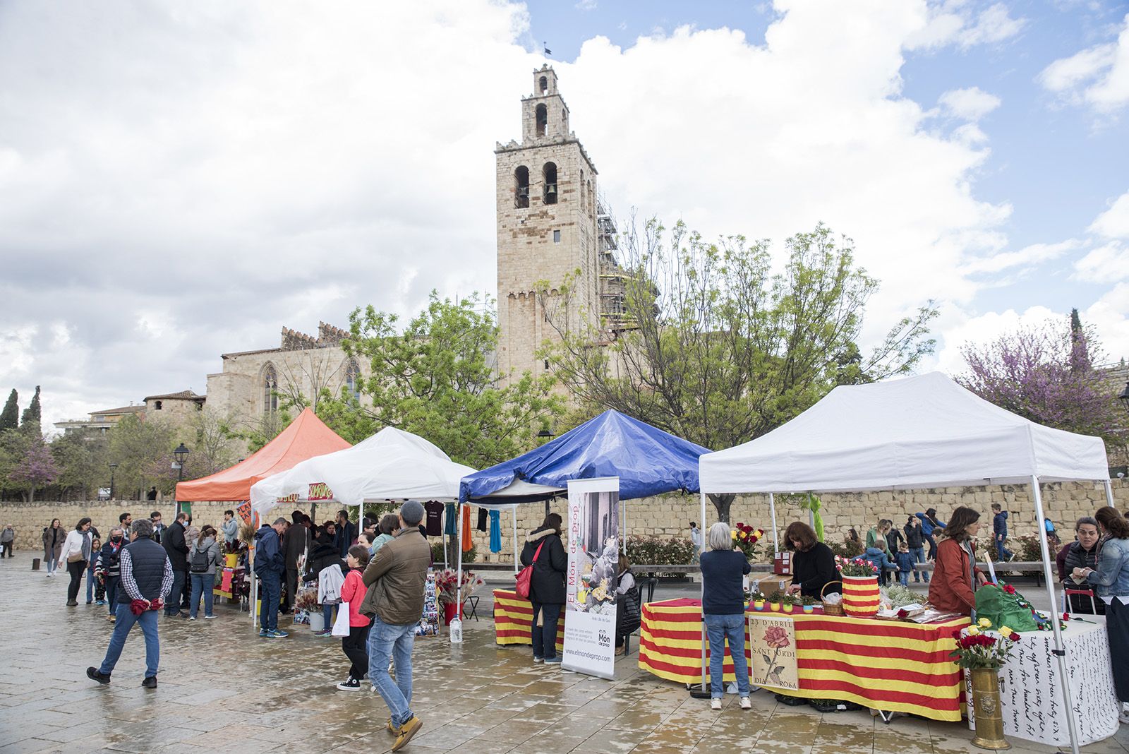 Sant Jordi a Sant Cugat. FOTO: Bernat Millet.