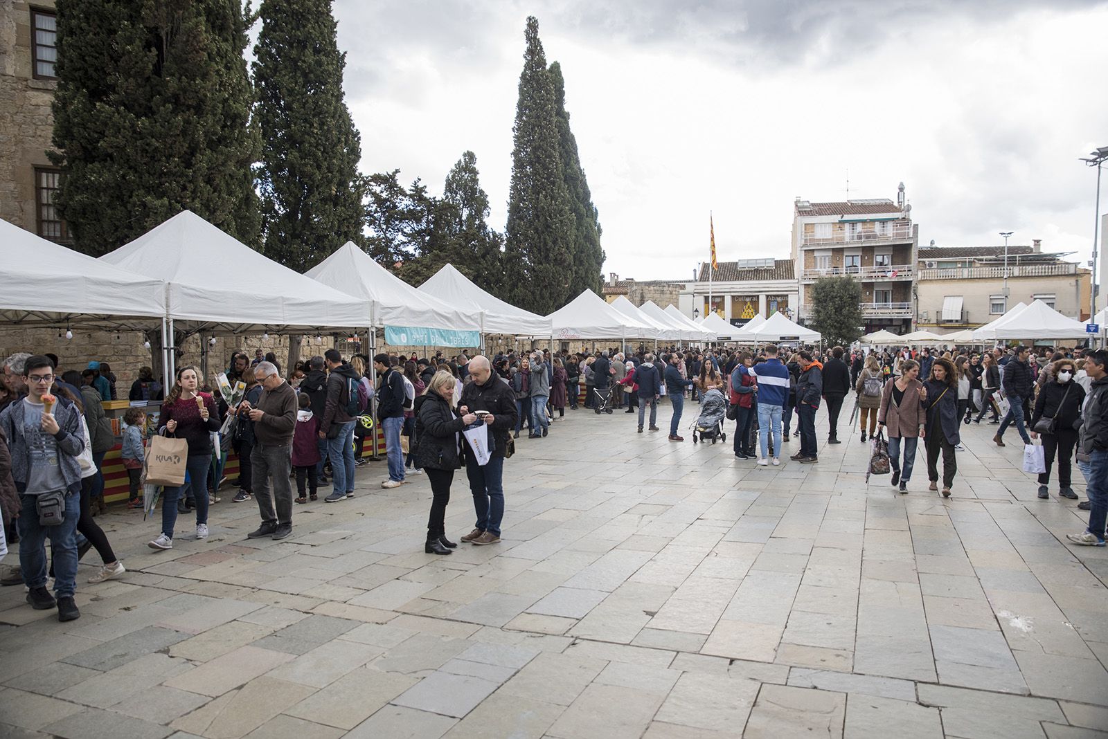 Sant Jordi a Sant Cugat. FOTO: Bernat Millet.