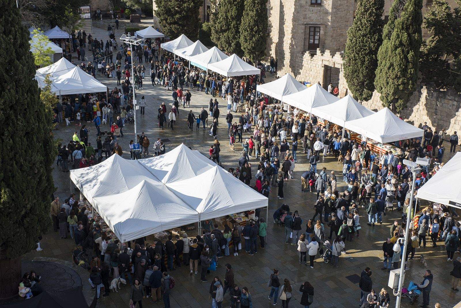 Sant Jordi a Sant Cugat. FOTO: Bernat Millet.