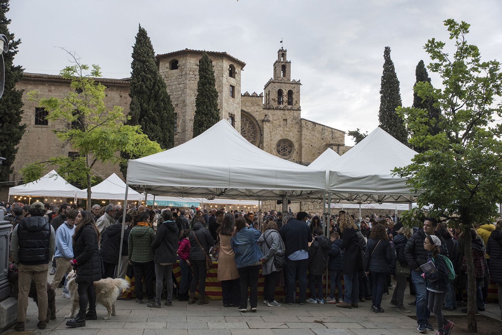 Sant Jordi a Sant Cugat. FOTO: Bernat Millet.