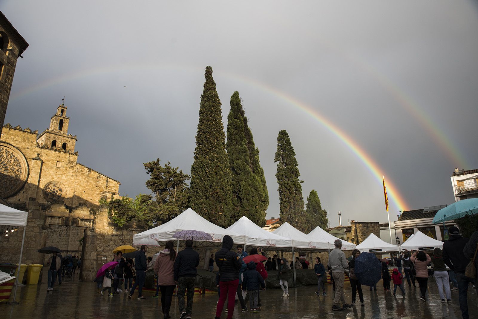 Sant Jordi a Sant Cugat. FOTO: Bernat Millet.