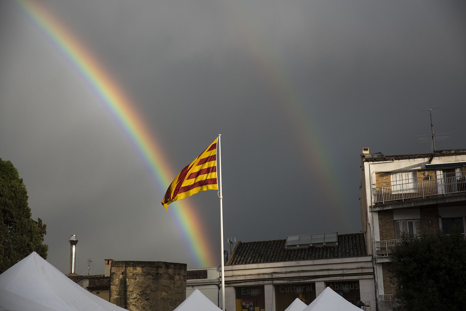 Sant Jordi a Sant Cugat. FOTO: Bernat Millet.