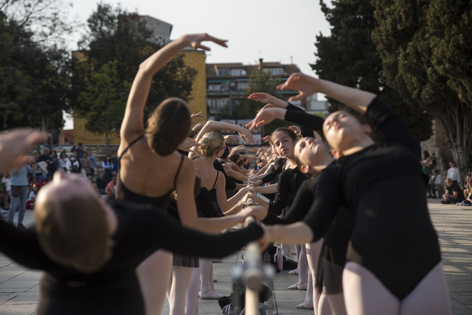 Barra de Clàssic. FOTO: Bernat Millet.