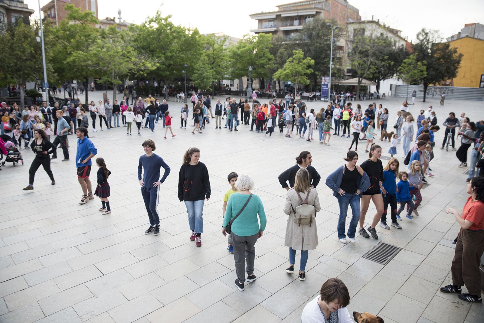 Danses de Plaça. FOTO: Bernat Millet.