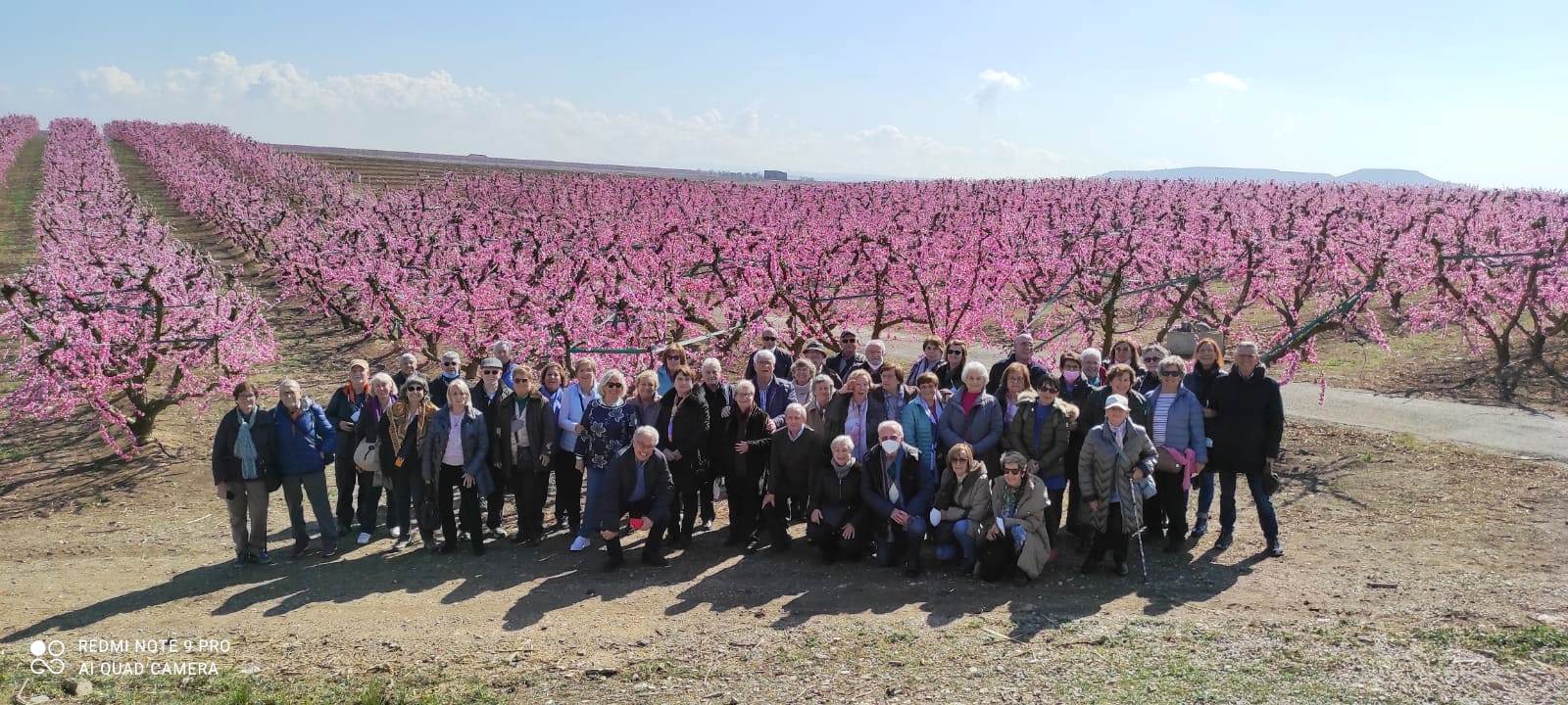 Presseguers florits a Aitona. FOTO: Cedida.