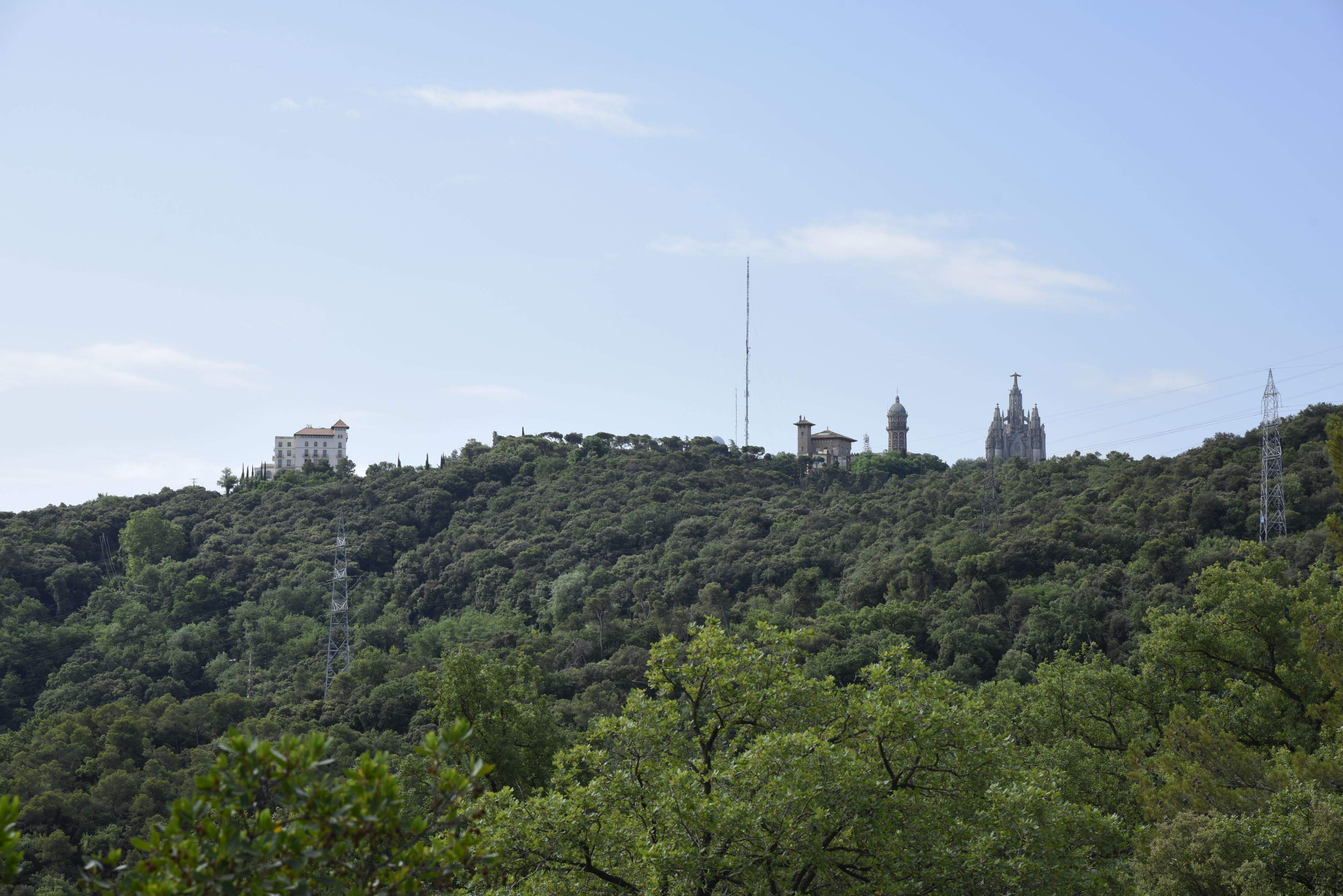 La serra de Collserola. FOTO: Arxiu del TOT