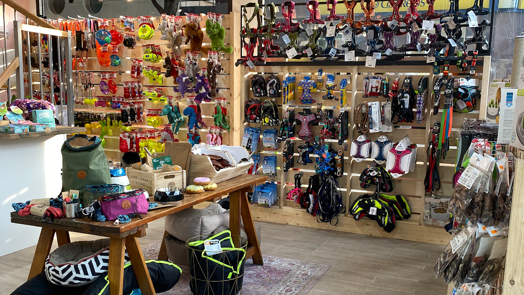 'The black Dog' és una botiga d'animals de Sant Cugat que ofereix un assessorament expert i productes de qualitat. FOTO: Cedida