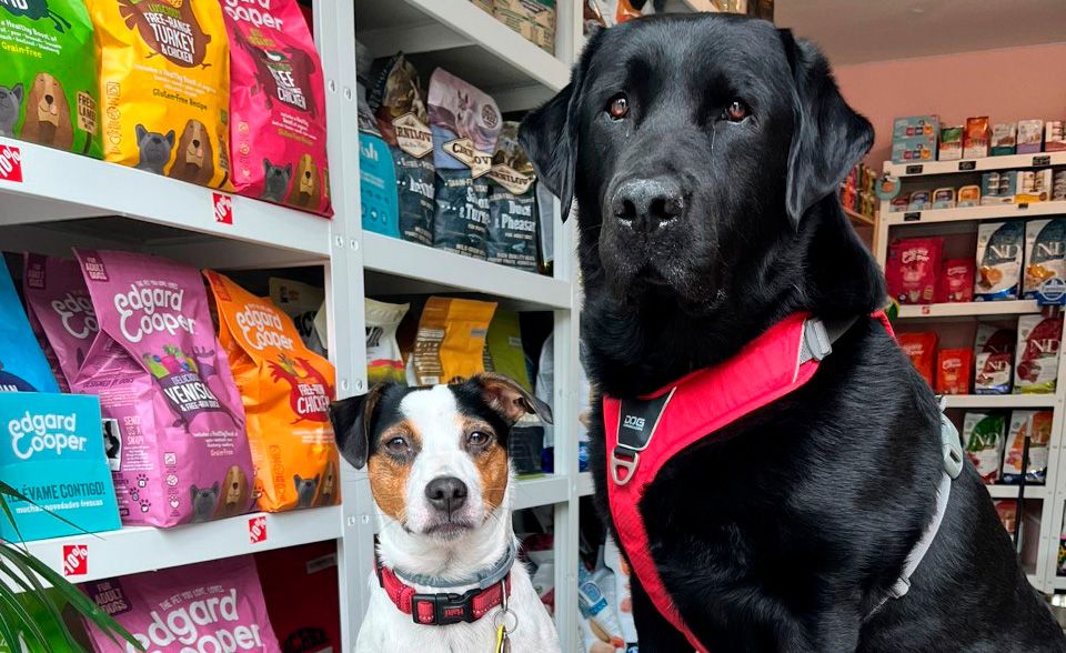 La nova botiga d'animals 'The Black Dog' la trobaràs a la rambla Can Mora, 9 de Sant Cugat. FOTO: Cedida