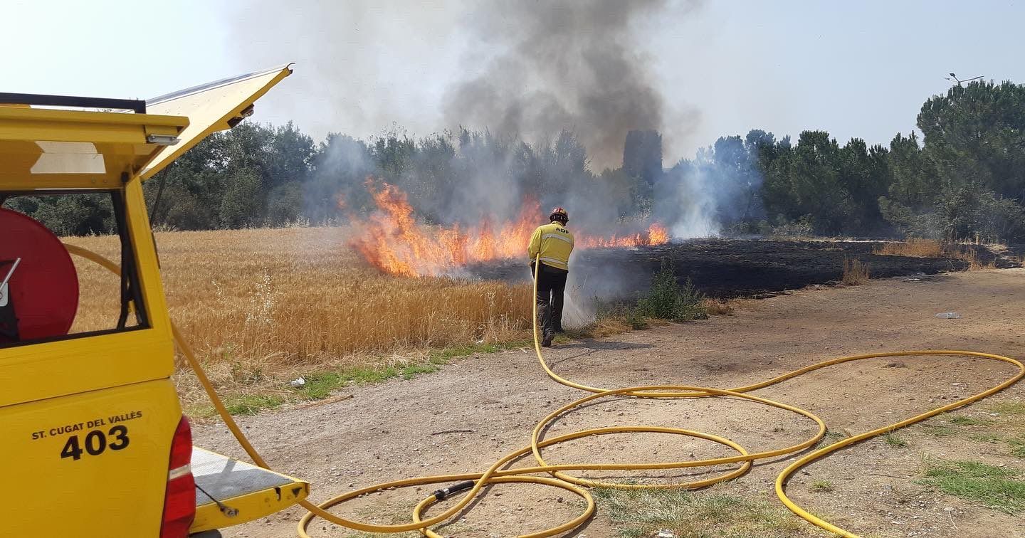 Un camp de blat i matolls s'ha incendiat. FOTO: Cedida
