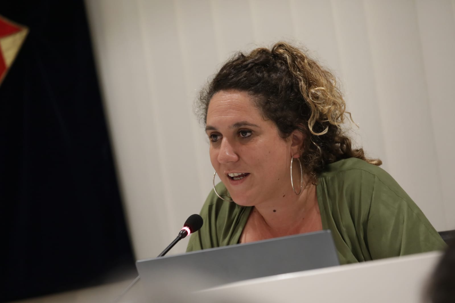 Núria Gibert s'acomiada del Ple. FOTO: Ajuntament