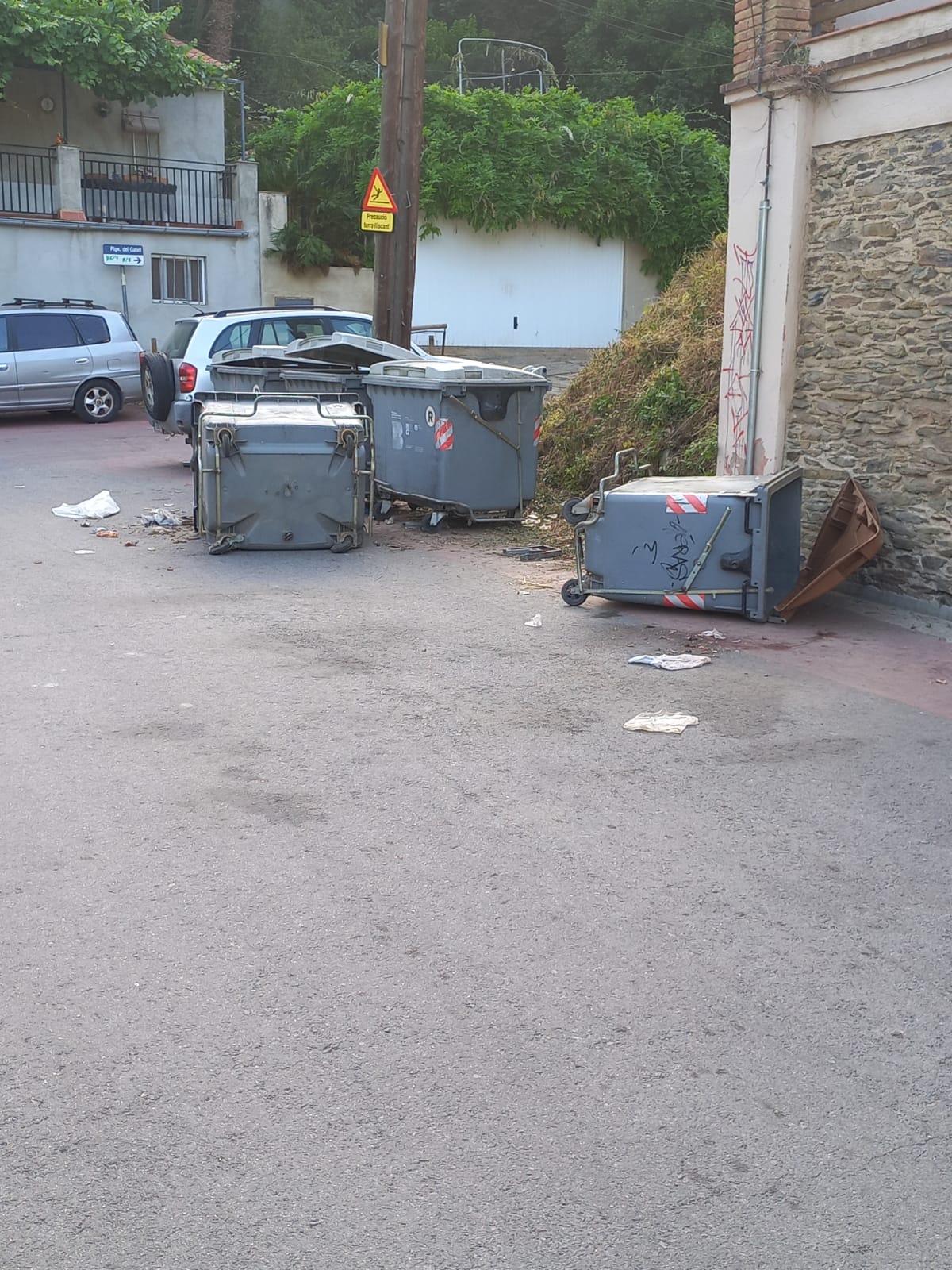 Els porcs senglars tomben els contenidors FOTO: Cedida