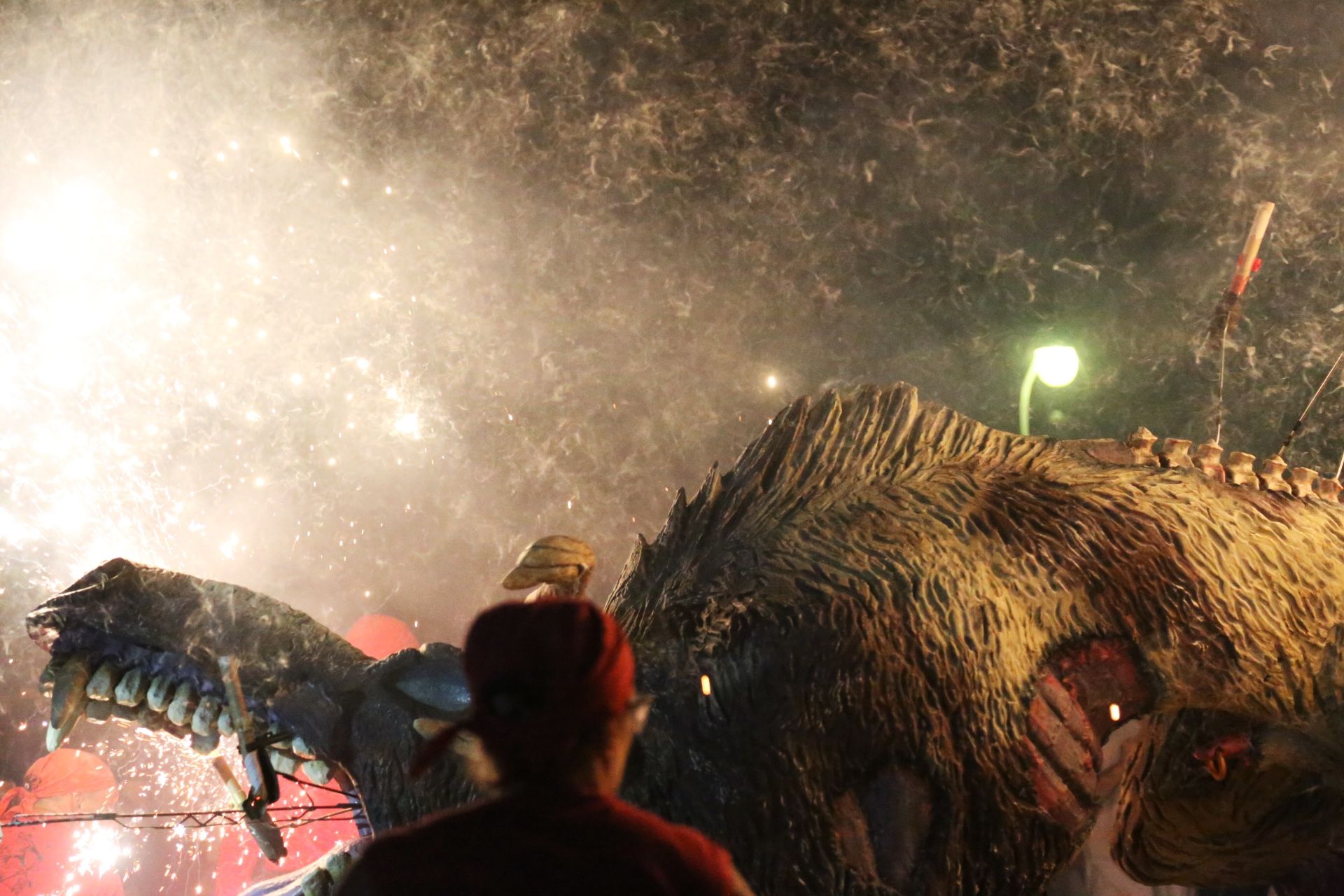 Els Diables de Sant Cugat van arrencar el Seguici Nocturn de Festa Major. FOTO: Anna Bassa