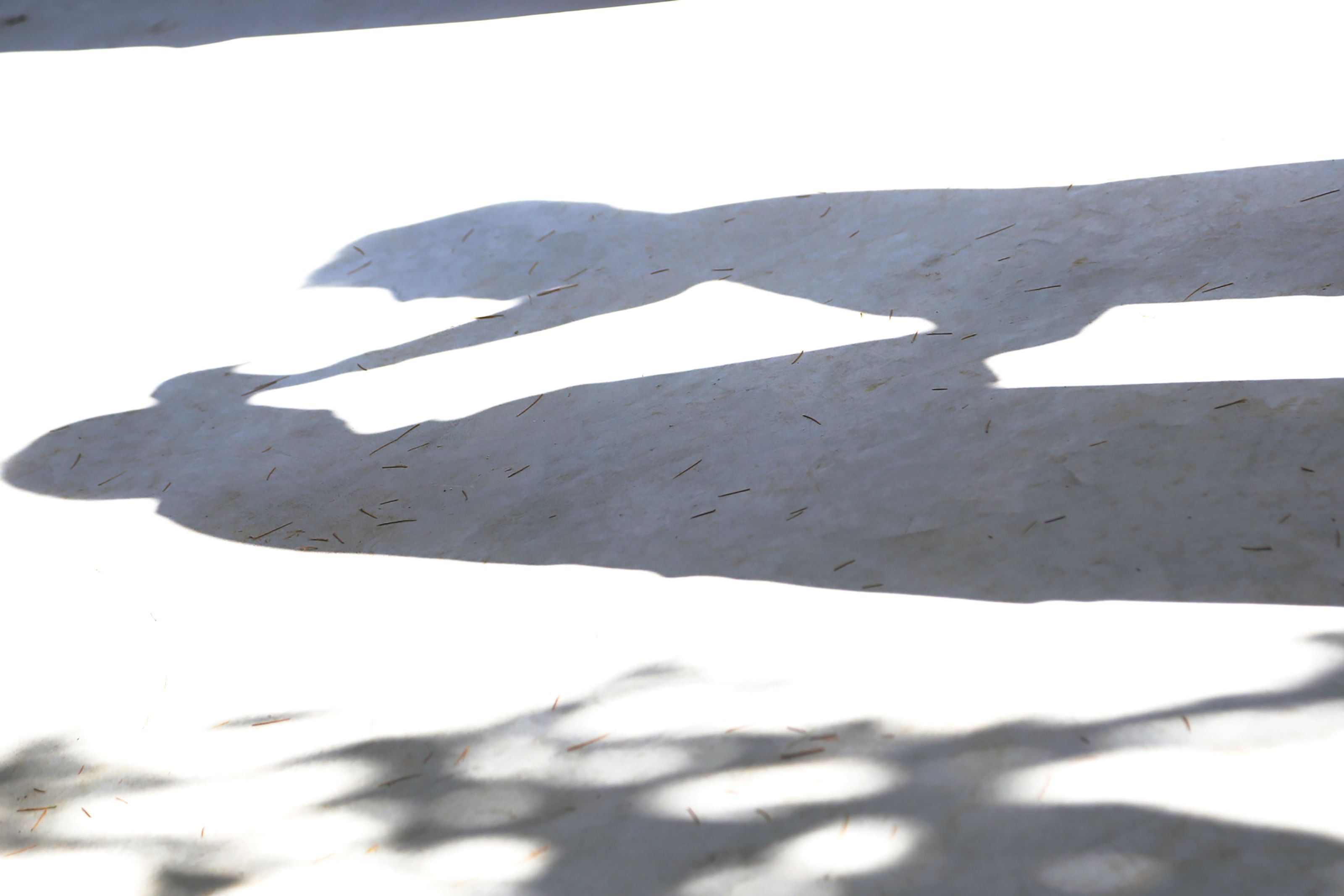 Ball d'avis amb el Duo Montal. FOTO: Anna Bassa 