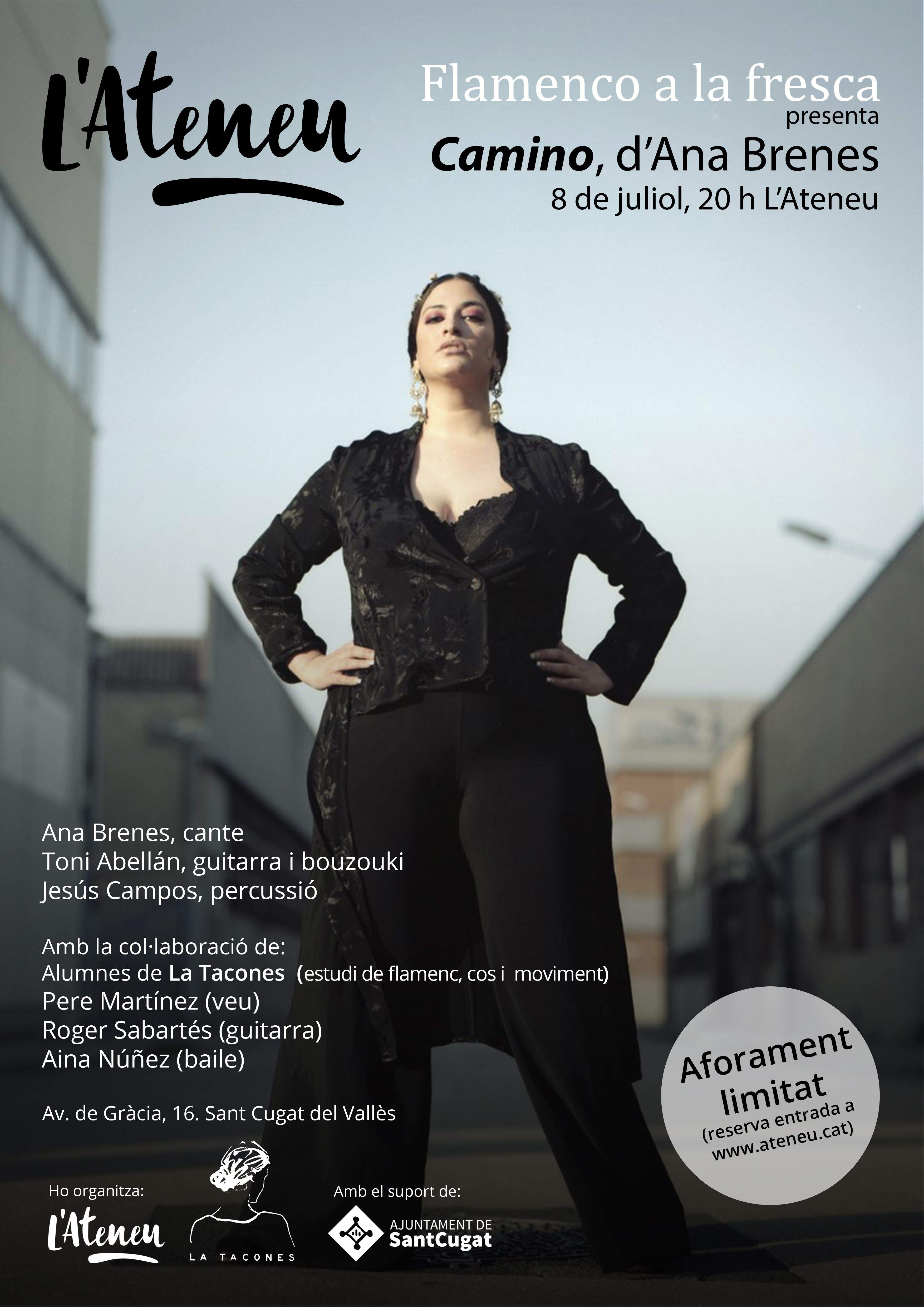 Cartell de Flamenc a l'Ateneu