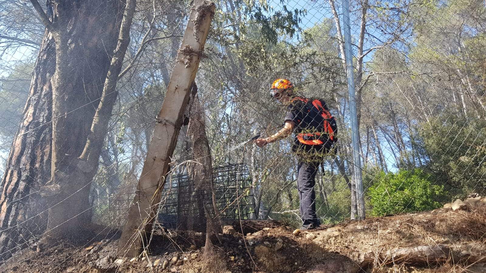 Incendi a Can Barata. FOTO: Cedida