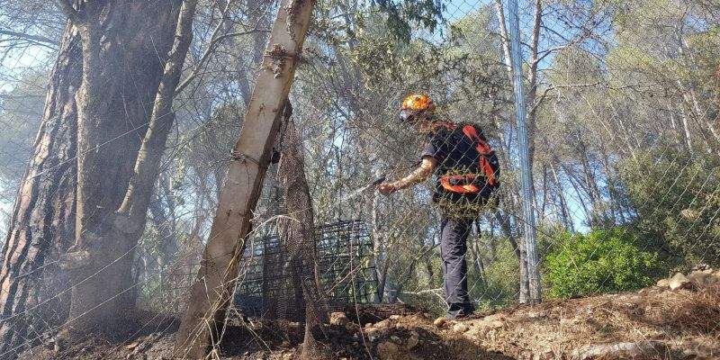 Incendi a Can Barata. FOTO: Cedida
