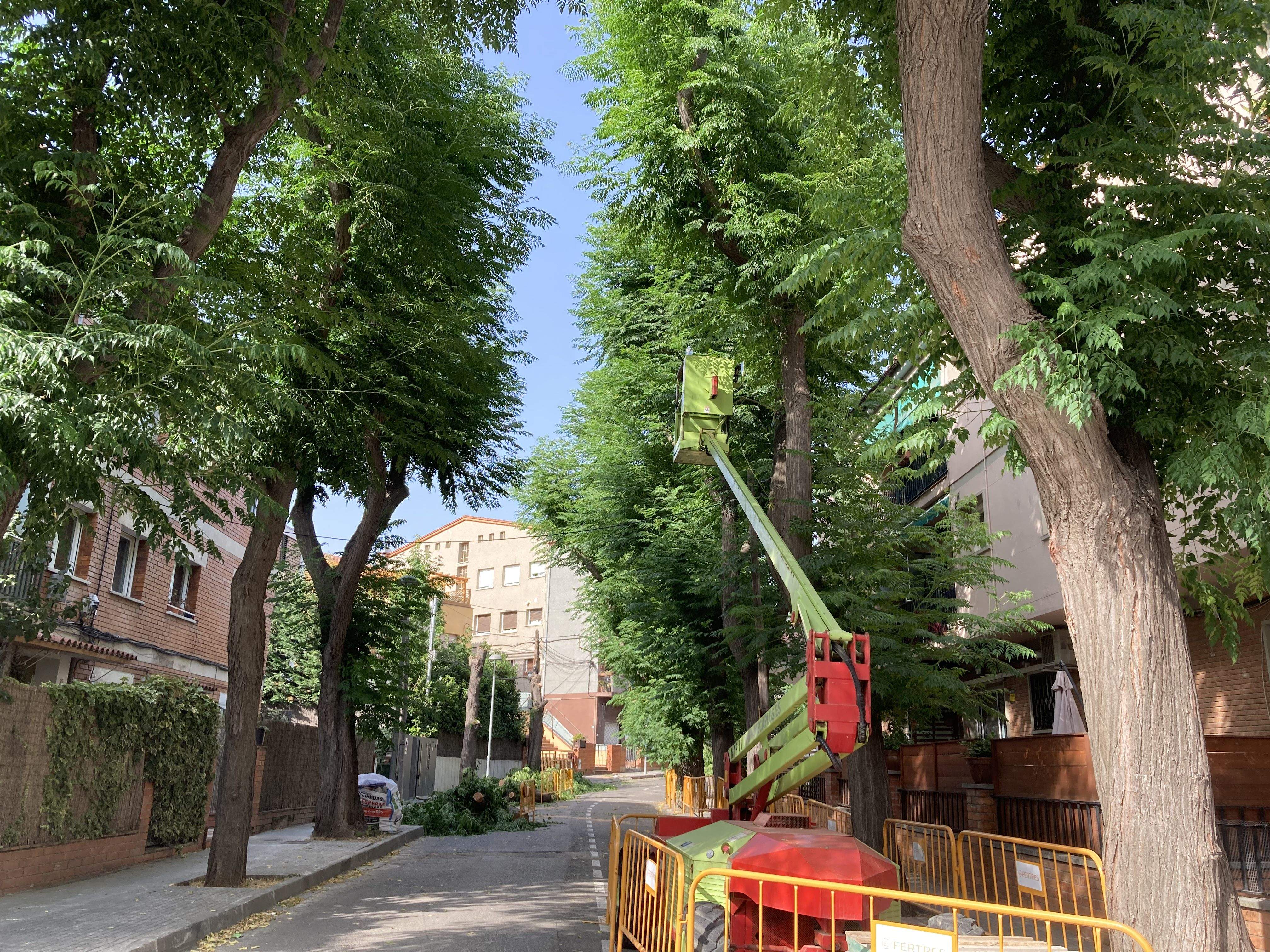 Inici de les obres FOTO: Cedida