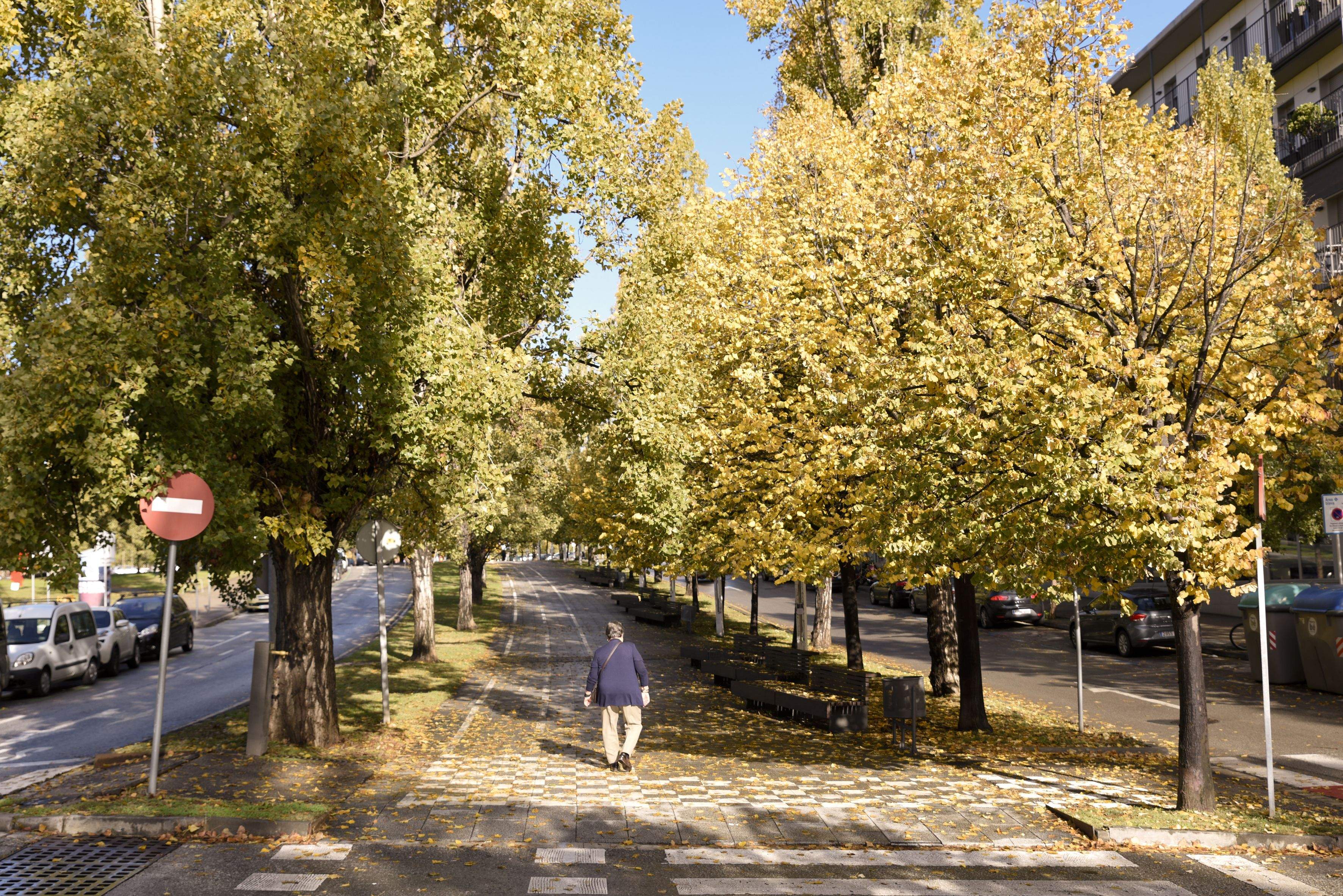 El passeig de Francesc Macià FOTO: Arxiu