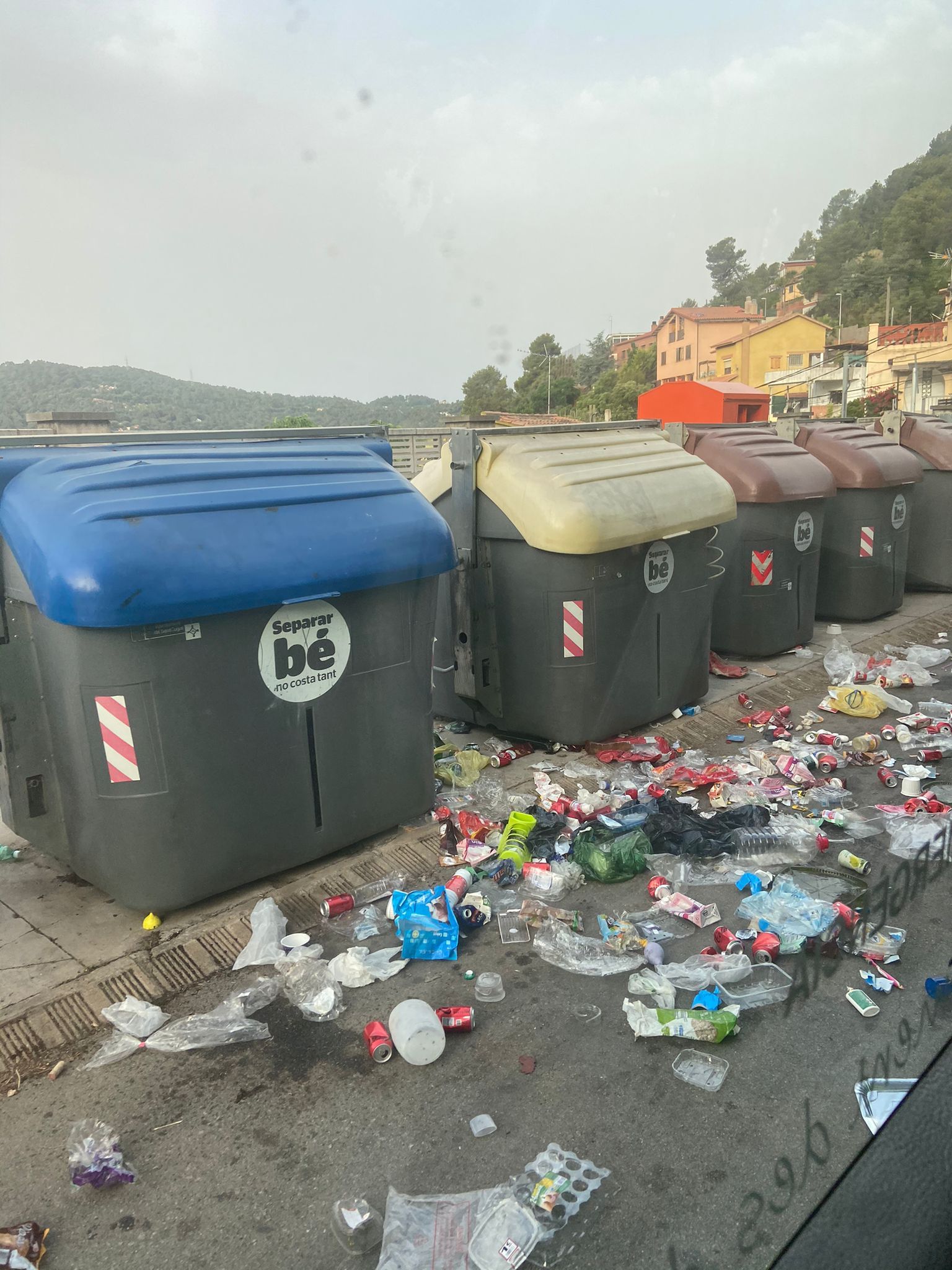 Escombraries escampades al costat d'uns contenidors a Les Planes FOTO: Cedida
