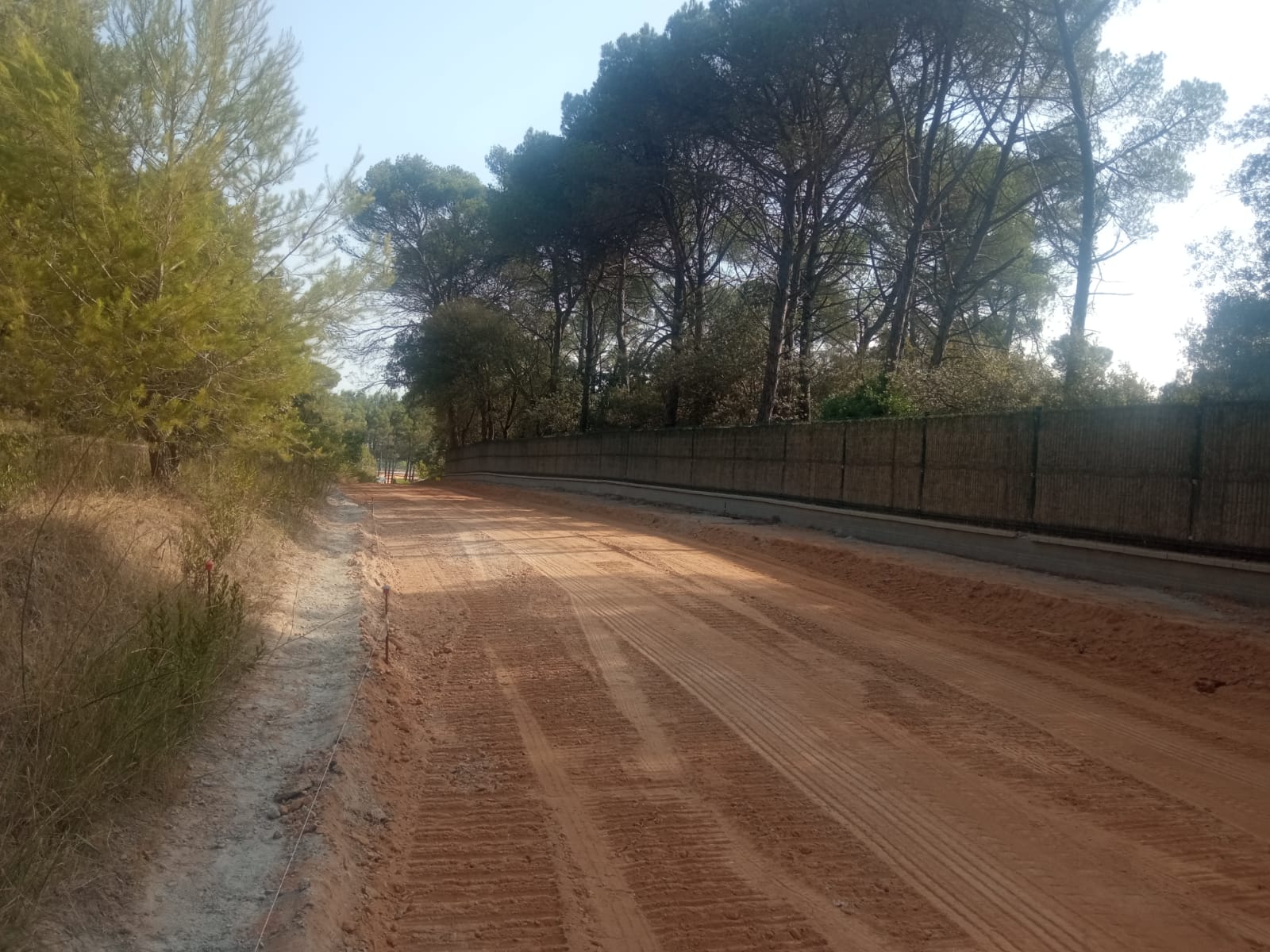 Obres del camí a l'Avenç FOTO: Ferran Mitjà