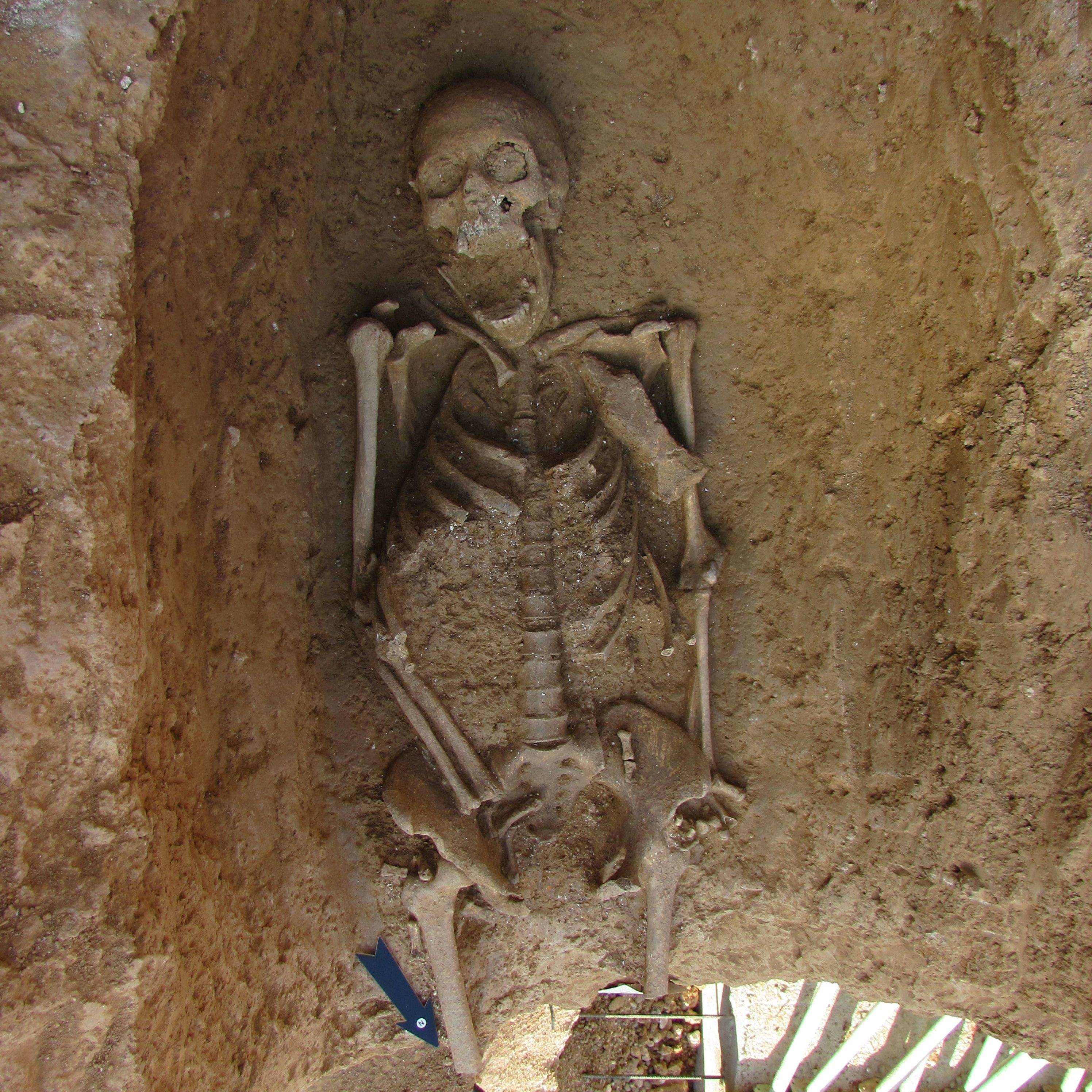 Unitat Funerària FOTO: Ajuntament