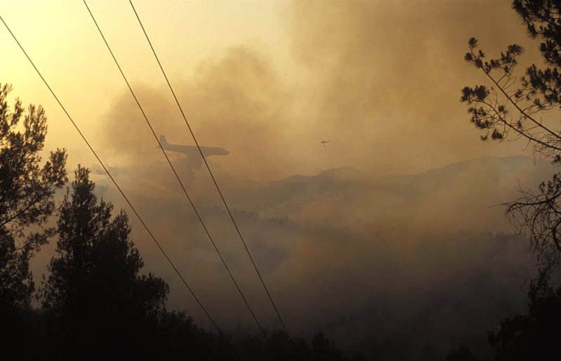 Incendi a collserola l'any 1994 FOTO: Cedida