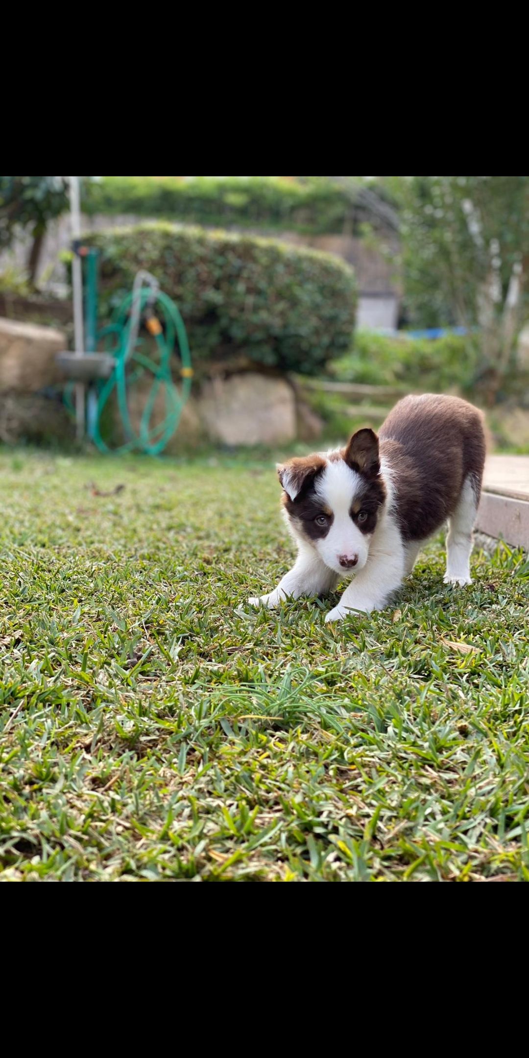 Estiraments matinals · Sant Cugat del Vallés FOTO: Pau Villa Gorriz