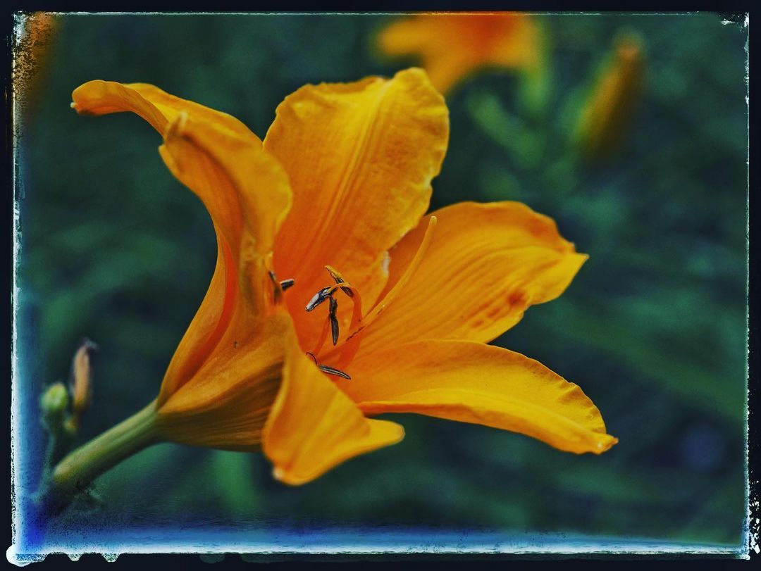 #olympus #santcugat FOTO: @manolo_nikon