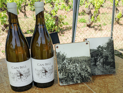 Vi xarel·lo de Can Bell. FOTO: Cedida