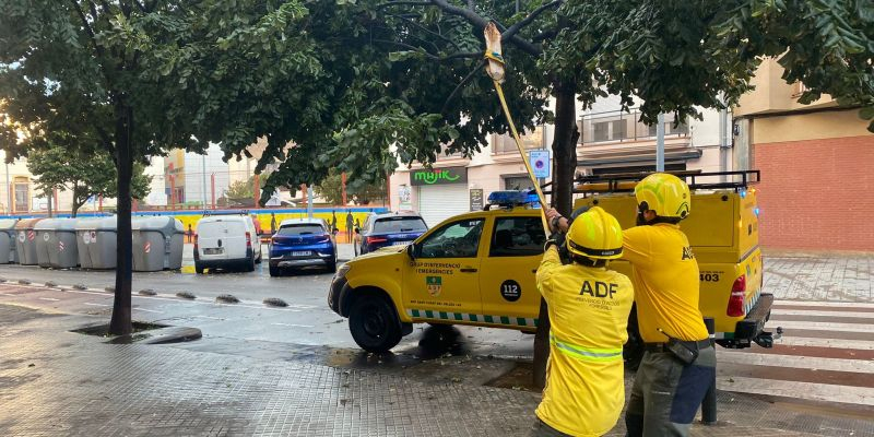 L'ADF retira un arbre caigut a Sant Cugat. FOTO: Ajuntament