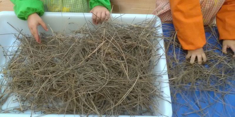 Els alumnes de l'escola bressol de Sant Cugat, Little Ducky, en una sessió d'experimentació. FOTO: Cedida