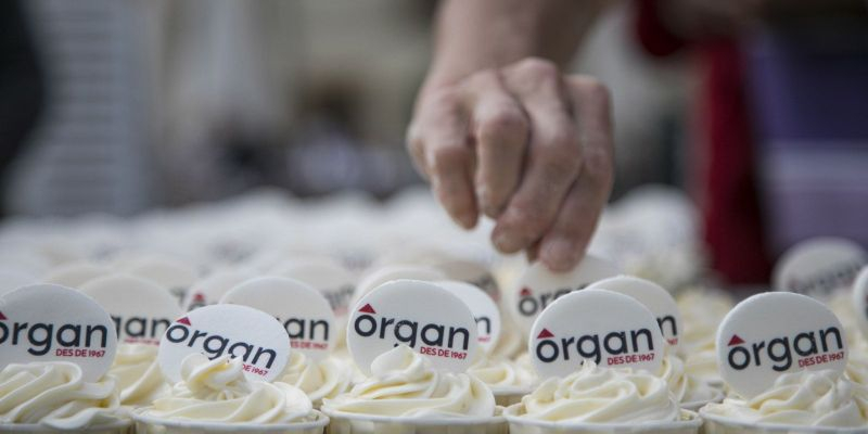 Festa 50 anys d'Organ