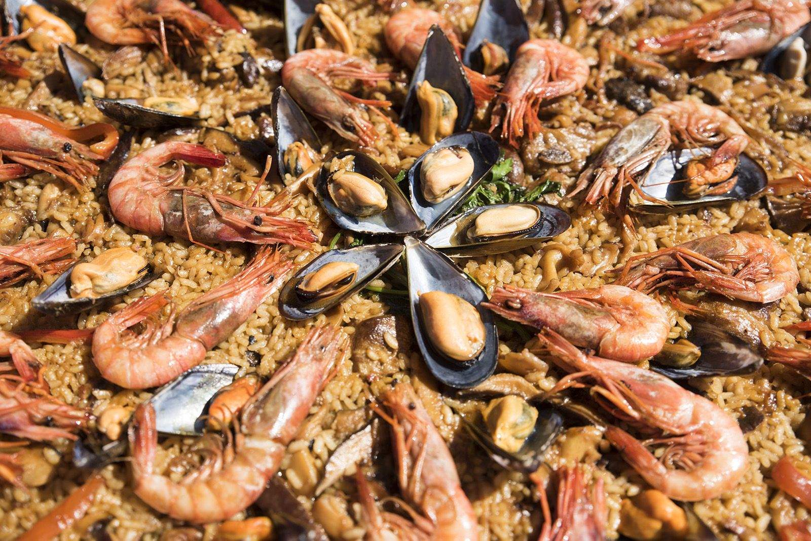 Concurs de paelles de Festa Major de Valldoreix. FOTO: Bernat Millet.