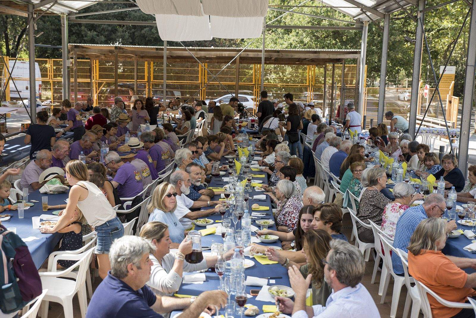 Concurs de paelles de Festa Major de Valldoreix. FOTO: Bernat Millet.