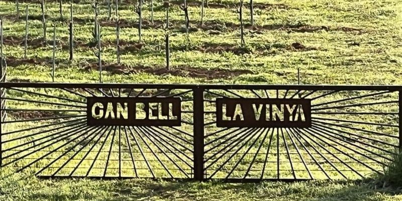 Accés a les vinyes de Can Bell FOTO: Cedida