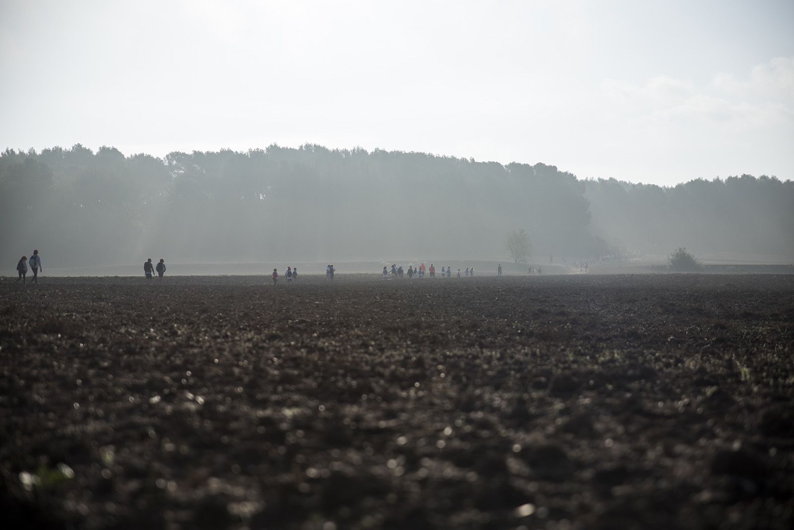 La Marxa Infantil 2022 FOTO: Bernat Millet