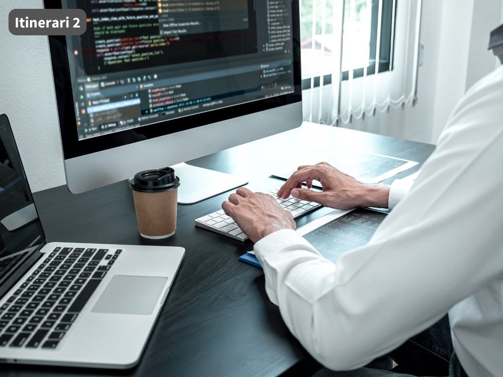 Formació en línia