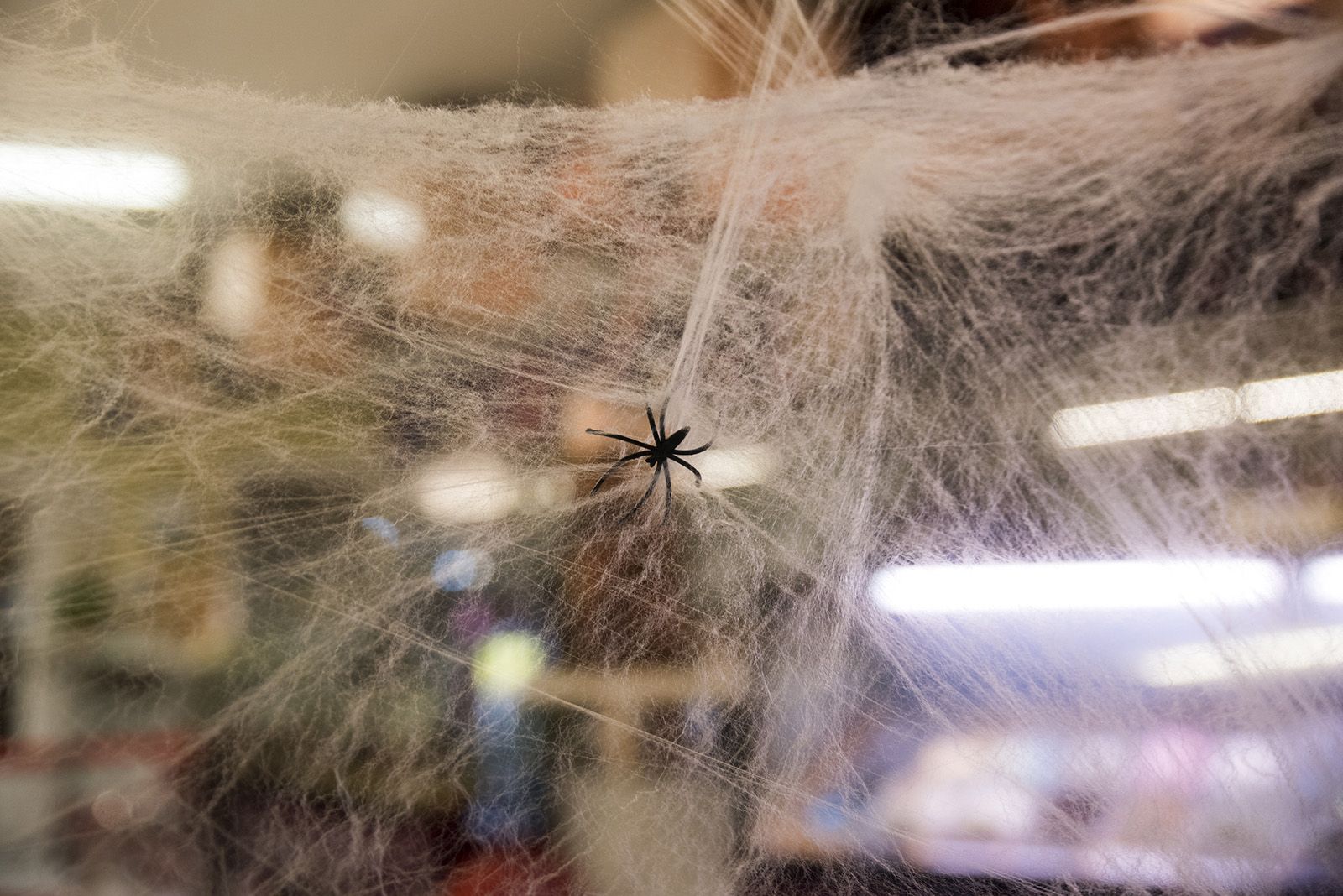 Halloween a Sant Cugat. FOTO: Bernat Millet.