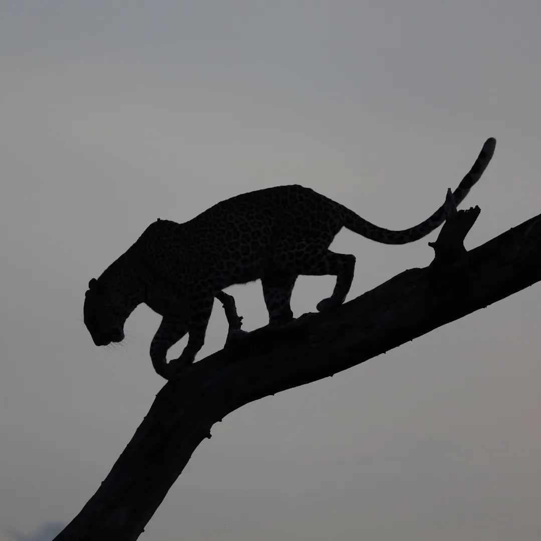 Samburu National Reserve FOTO: @xavi.arbos
